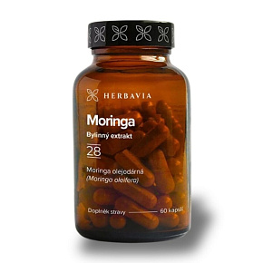 Moringa olejodárná Moringa olejodárná