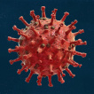 Univerzitný štúdia ukazuje, že ióny striebra efektívne pôsobí proti vírusu SARS