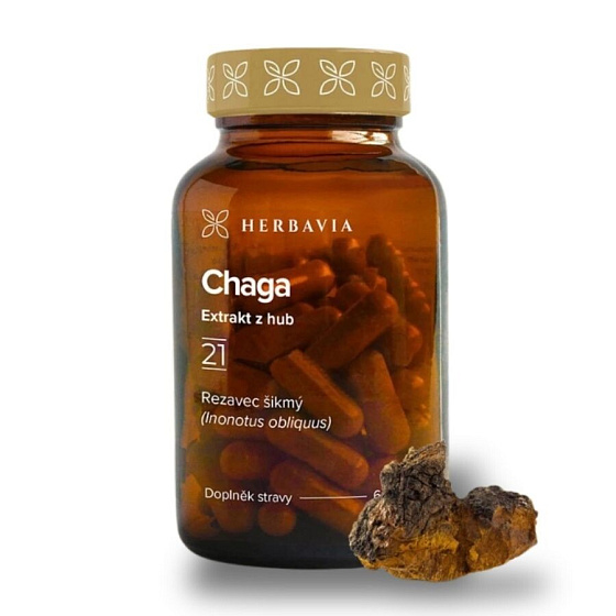 Chaga