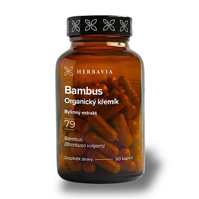 Bambus Bambus
