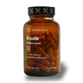 Kozlík