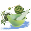 Moringa Korenie
